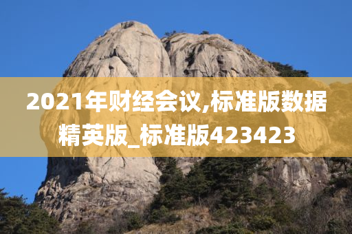 2021年财经会议,标准版数据精英版_标准版423423