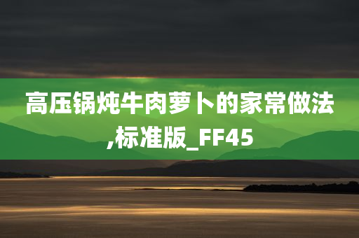 高压锅炖牛肉萝卜的家常做法,标准版_FF45