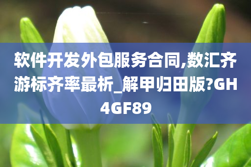 软件开发外包服务合同,数汇齐游标齐率最析_解甲归田版?GH4GF89