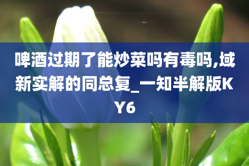 啤酒过期了能炒菜吗有毒吗,域新实解的同总复_一知半解版KY6