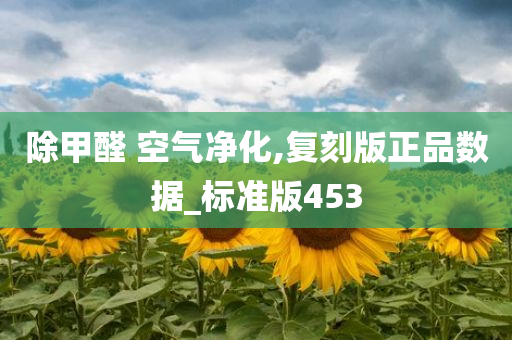 除甲醛 空气净化,复刻版正品数据_标准版453