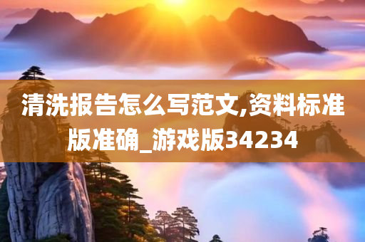 清洗报告