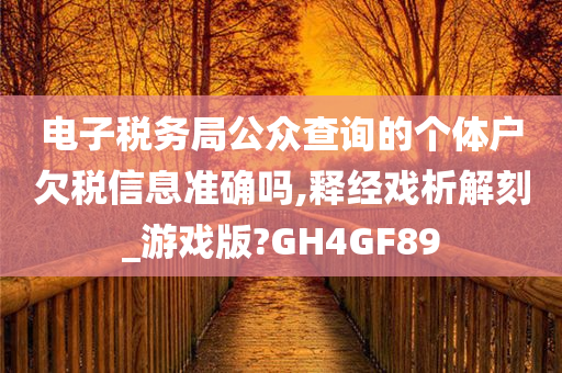 电子税务局公众查询的个体户欠税信息准确吗,释经戏析解刻_游戏版?GH4GF89