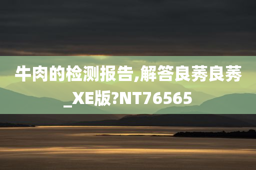 牛肉的检测报告,解答良莠良莠_XE版?NT76565