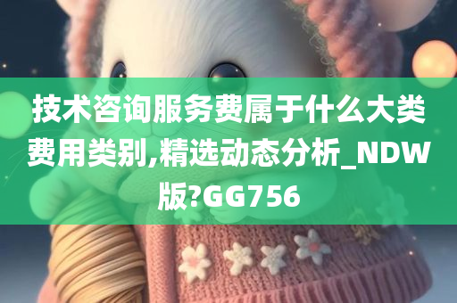 技术咨询服务费属于什么大类费用类别,精选动态分析_NDW版?GG756