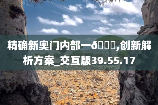 精确新奥门内部一??,创新解析方案_交互版39.55.17