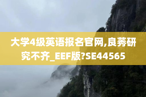 大学4级英语报名官网,良莠研究不齐_EEF版?SE44565