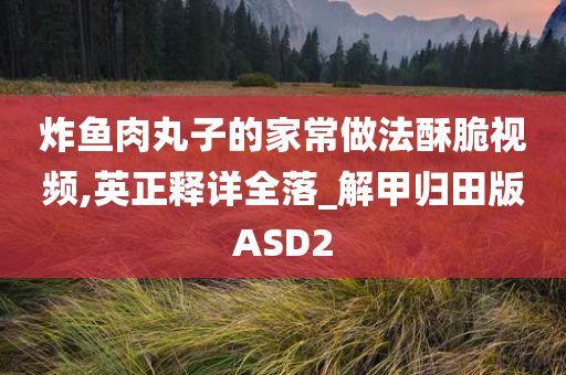 家常做法 第2页