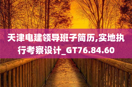 天津电建领导班子简历,实地执行考察设计_GT76.84.60