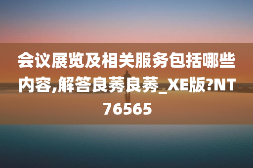 会议展览及相关服务包括哪些内容,解答良莠良莠_XE版?NT76565