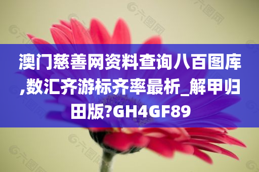 资料查询