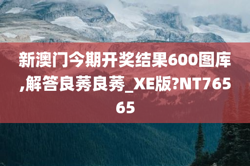 新澳门今期开奖结果600图库,解答良莠良莠_XE版?NT76565今晚必出三肖2025_2025新澳门精准免费提供·精确判断