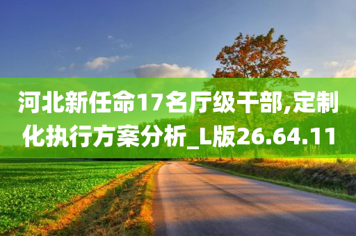 河北新任命17名厅级干部,定制化执行方案分析_L版26.64.11