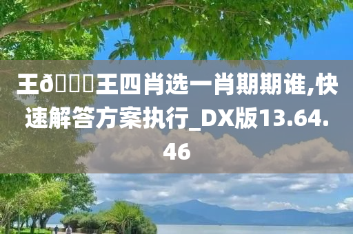 王??王四肖选一肖期期谁,快速解答方案执行_DX版13.64.46