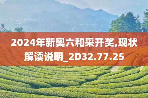 2024年新奥六和采开奖,现状解读说明_2D32.77.25