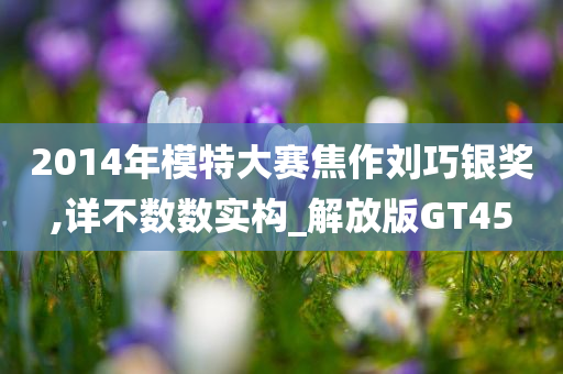 2014年模特大赛焦作刘巧银奖,详不数数实构_解放版GT45