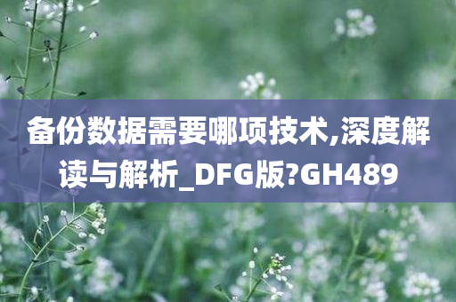 备份数据需要哪项技术,深度解读与解析_DFG版?GH489