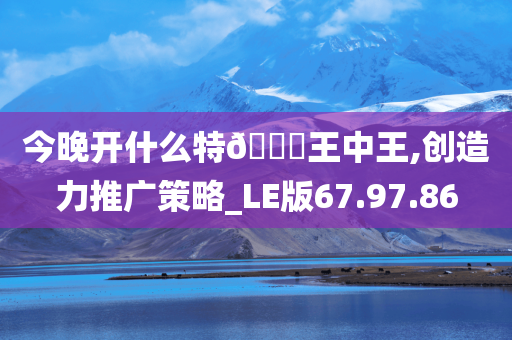 今晚开什么特??王中王,创造力推广策略_LE版67.97.86