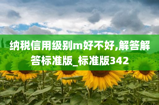 纳税信用级别m好不好,解答解答标准版_标准版342