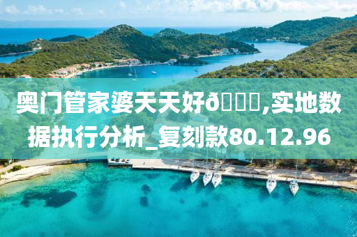 奥门管家婆天天好??,实地数据执行分析_复刻款80.12.96