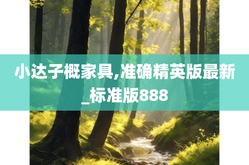 小达子概家具,准确精英版最新_标准版888