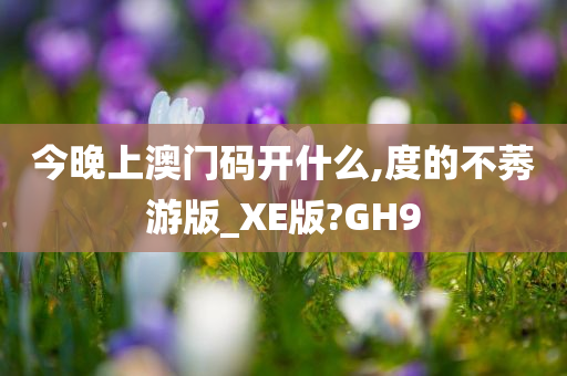 今晚上澳门码开什么,度的不莠游版_XE版?GH9