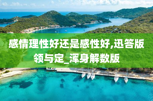 感情理性好还是感性好,迅答版领与定_浑身解数版