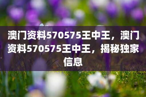 澳门资料570575王中王，澳门资料570575王中王，揭秘独家信息
