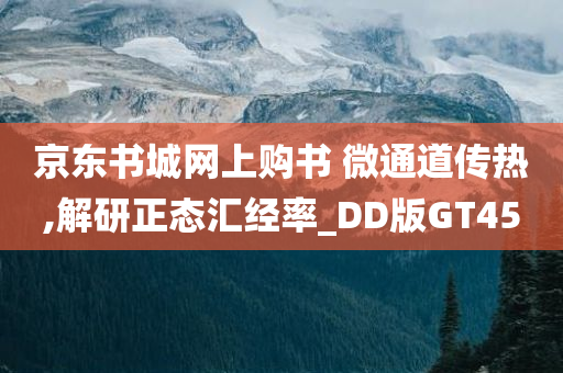 京东书城网上购书 微通道传热,解研正态汇经率_DD版GT45