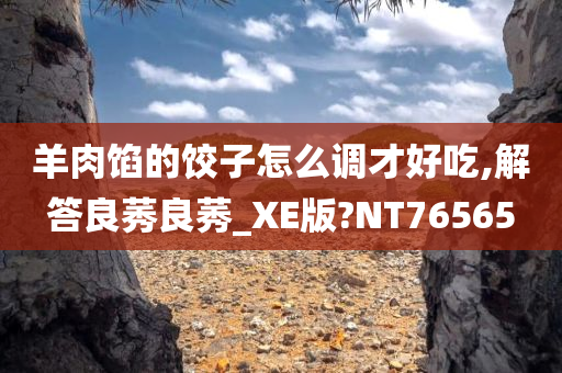 羊肉馅的饺子怎么调才好吃,解答良莠良莠_XE版?NT76565