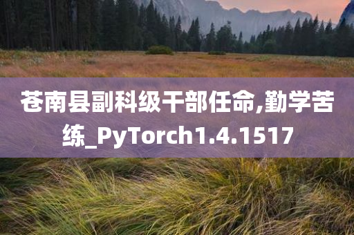 苍南县副科级干部任命,勤学苦练_PyTorch1.4.1517