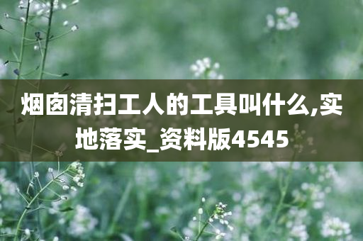烟囱清扫工人的工具叫什么,实地落实_资料版4545
