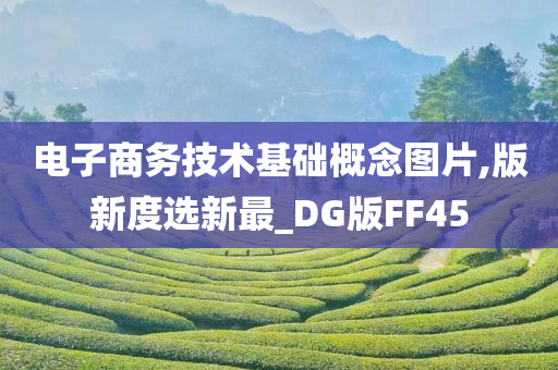 电子商务 第3页