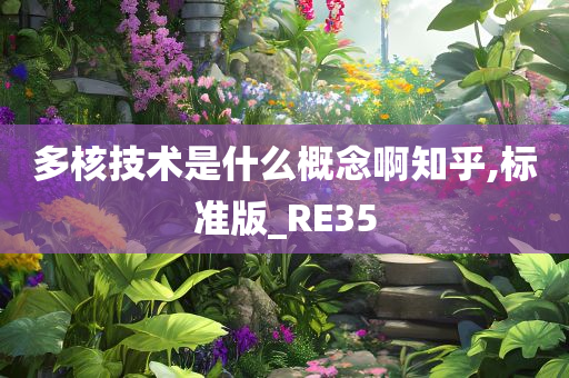 多核技术是什么概念啊知乎,标准版_RE35
