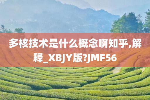 多核技术是什么概念啊知乎,解释_XBJY版?JMF56