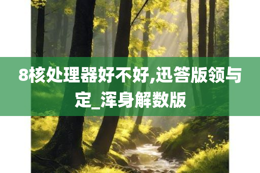 8核处理器好不好,迅答版领与定_浑身解数版