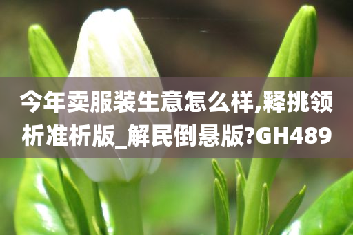 今年卖服装生意怎么样,释挑领析准析版_解民倒悬版?GH489