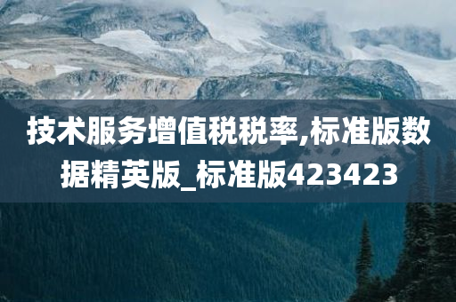 技术服务增值税税率,标准版数据精英版_标准版423423