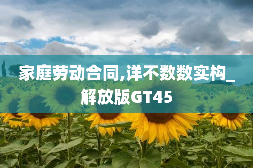 家庭劳动合同,详不数数实构_解放版GT45