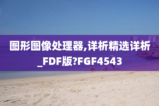图形图像处理器,详析精选详析_FDF版?FGF4543