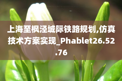 上海至枫泾城际铁路规划,仿真技术方案实现_Phablet26.52.76