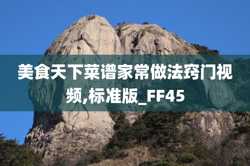 美食天下菜谱家常做法窍门视频,标准版_FF45