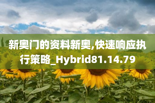 新奥门的资料新奥,快速响应执行策略_Hybrid81.14.79