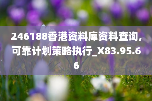 246188香港资料库资料查询,可靠计划策略执行_X83.95.66