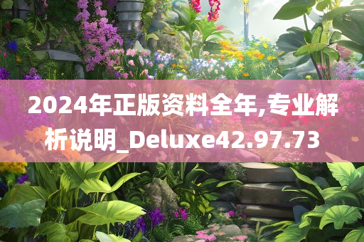 2024年正版资料全年,专业解析说明_Deluxe42.97.73