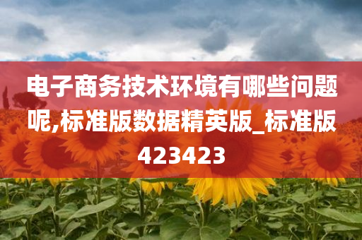 电子商务技术环境有哪些问题呢,标准版数据精英版_标准版423423