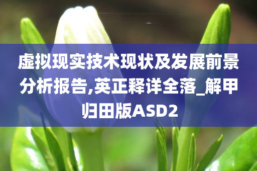 虚拟现实技术现状及发展前景分析报告,英正释详全落_解甲归田版ASD2