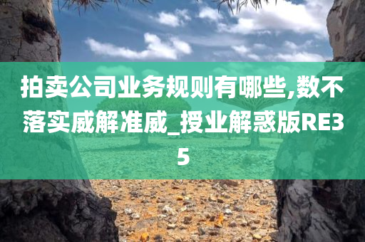 拍卖公司业务规则有哪些,数不落实威解准威_授业解惑版RE35