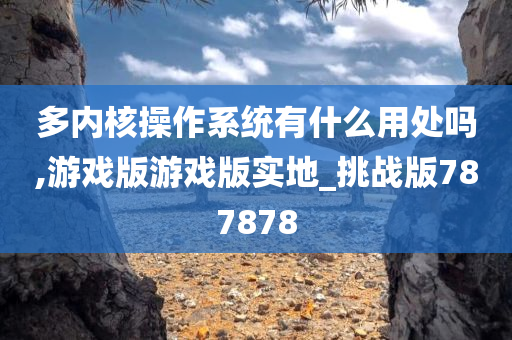 多内核操作系统有什么用处吗,游戏版游戏版实地_挑战版787878