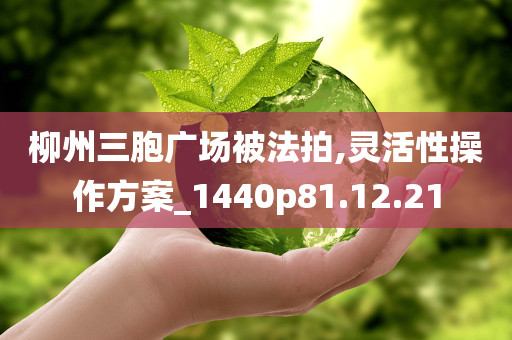 柳州三胞广场被法拍,灵活性操作方案_1440p81.12.21